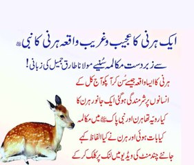 A Doe’s request to Holy Prophet and His kind response by Maulana Tariq Jameel