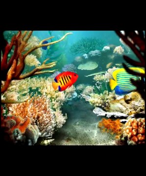 Мир на дне океана