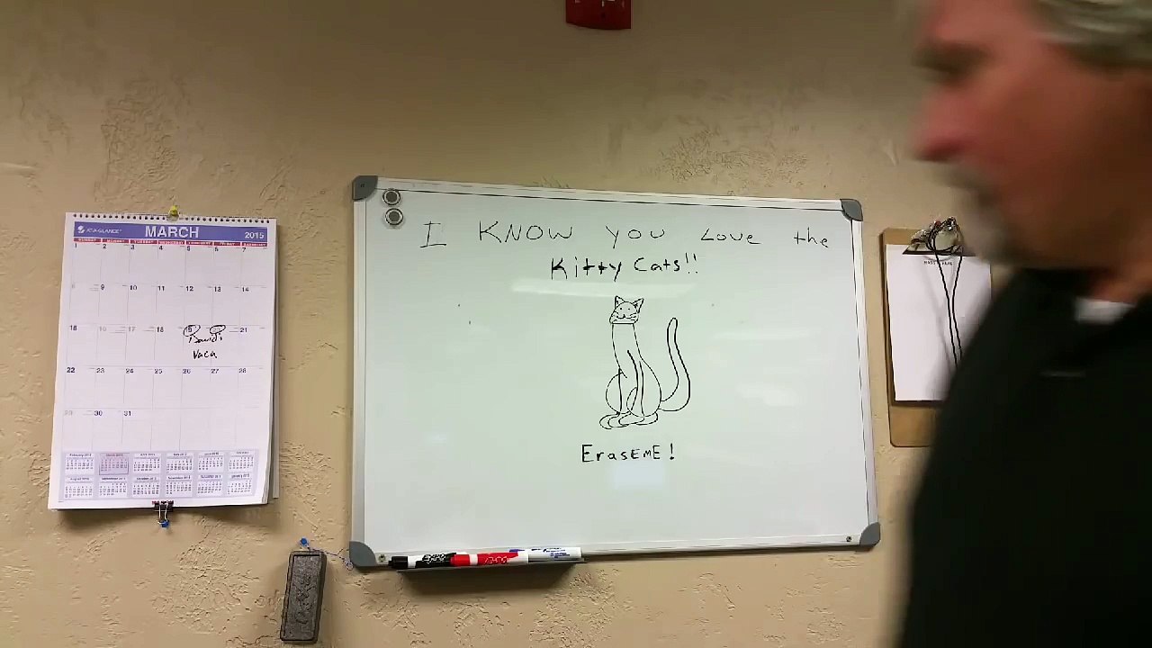 Awesome dry erase board cat prank! Dailymotion Video