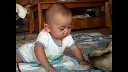 A Little Lovin' - Babies and Animals - toddletale