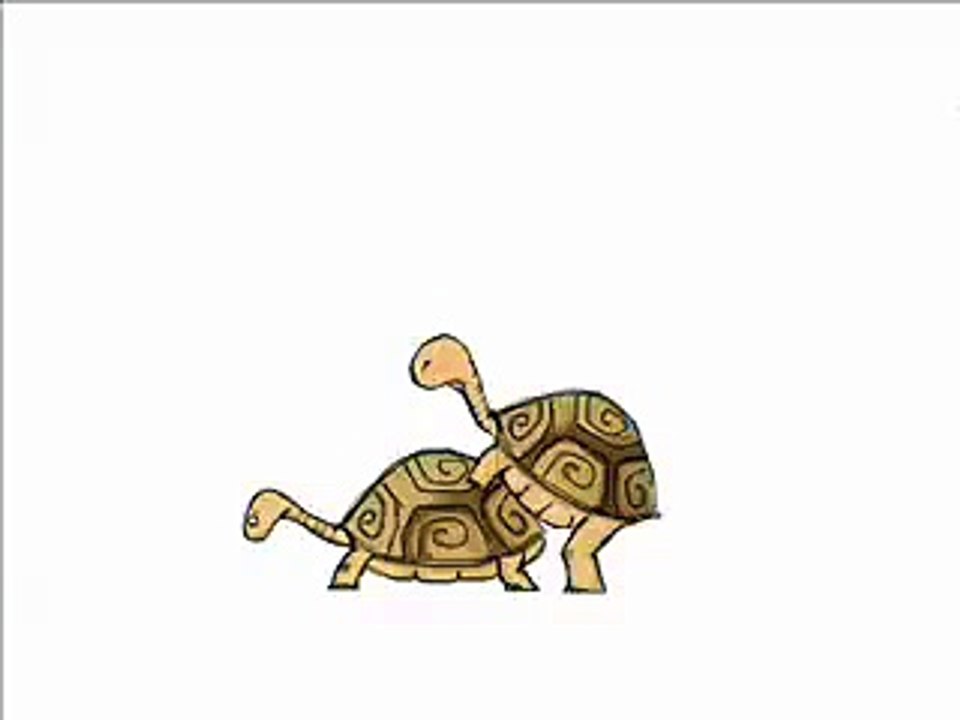 Turtles F**** :)