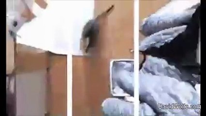 Cute Cates Video