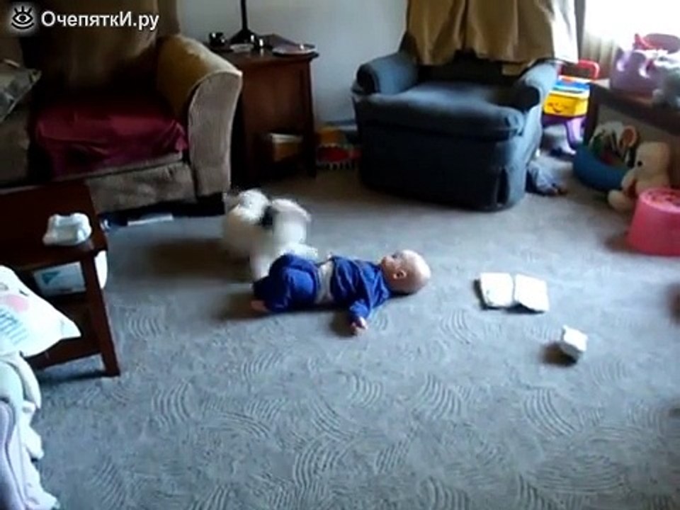 Собачонка веселит малыша