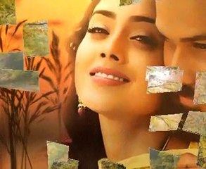 żułty jesienny liść