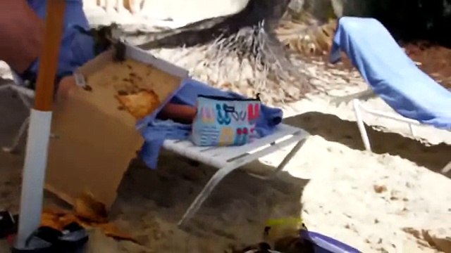 Животные пугают людей и наоборот