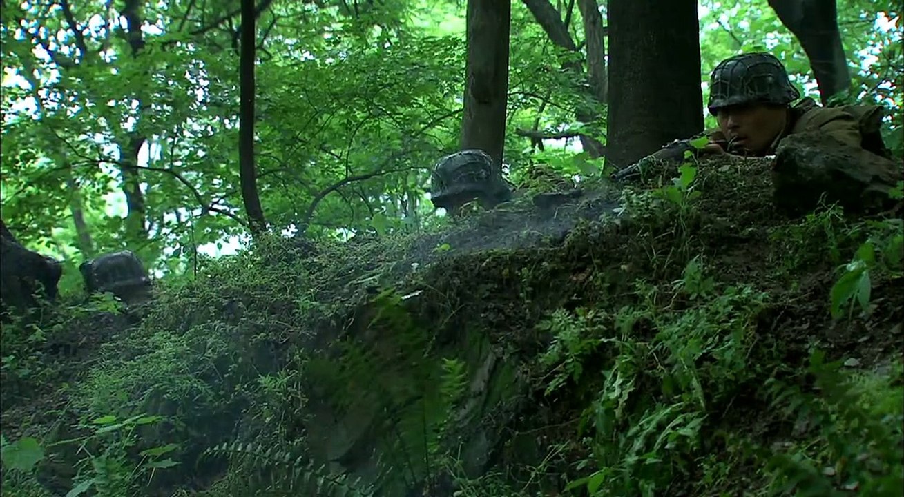 独狼12