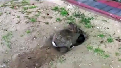Я был в шоке когда она разрыла тайник