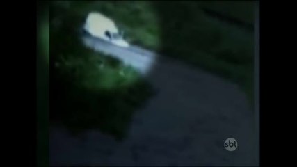 Mulher resgatada de dentro de rio é enterrada na Grande São Paulo