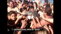 Argentina: Turistas matam golfinho ao tirar animal do mar para fazer ´selfies´
