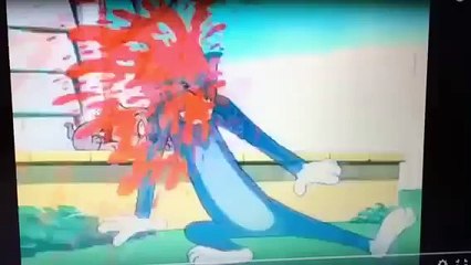 Tom And Jerry Cartoon in Urdu