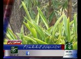 News Headlines 09am 19 February 2016
