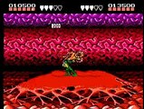 TAS Battletoads NES in 0:56 by MESHUGGAH