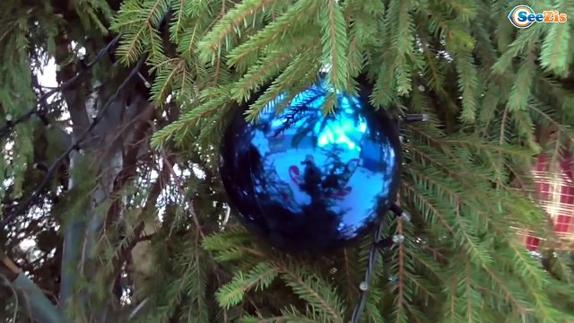 ✔ Беби Борн и Поля — Поздравление с Наступающим Новым Годом и обзор Новогодних Елок / Baby Born ✔