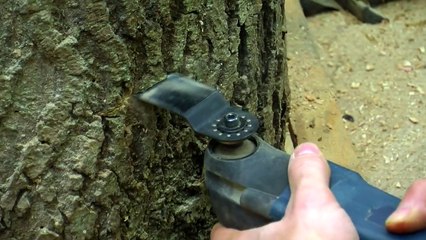 Enchanted Fairy Houses