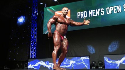 EVLS Prague Pro 2015 - open prejudging individual posing