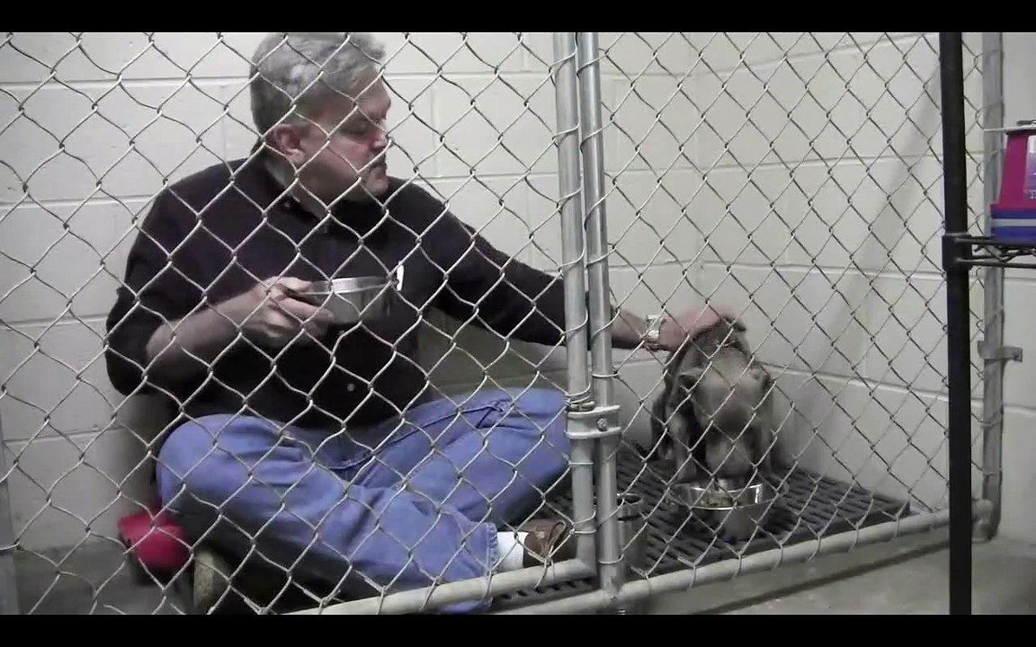 il s'enferme dans une cage avec un pit bull négligé, regardez bien lorsqu'il porte la cuillère à sa bouche!