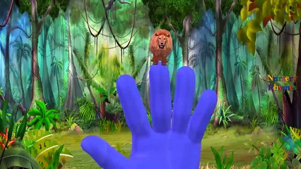 Finger Family Nursery Rhymes for Children | Lion Cartoons | Children Nursery Rhymes Collection