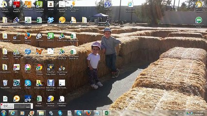 Niche Reaper FIVERR Gig