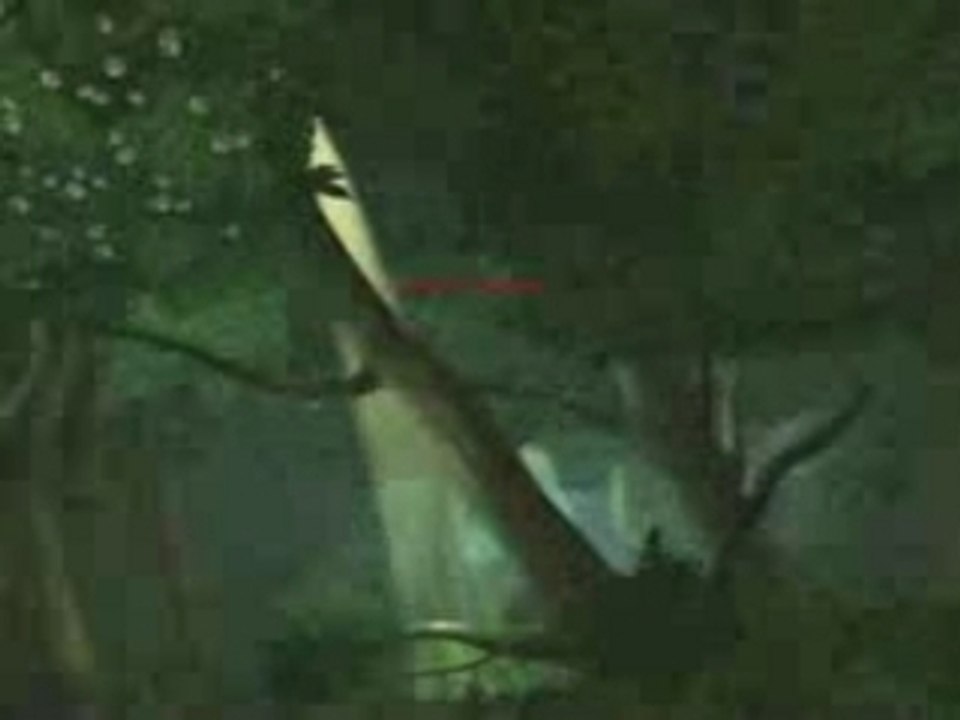 Naruto rise of the ninja