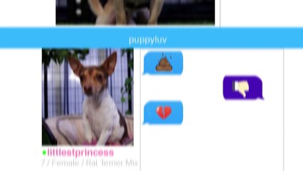 If You Could Meet Dogs On Dating Apps