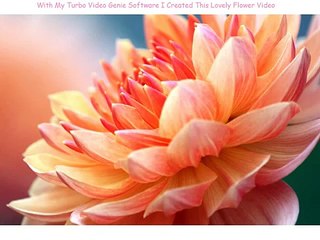 Turbo Video Genie And My Flower Show