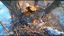 DECORAH EAGLES  2/7/2016  6:57 AM TO 10:00 AM CST  CLIPS OF MOM AND DAD