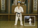 Karate Kyokushin Kata
