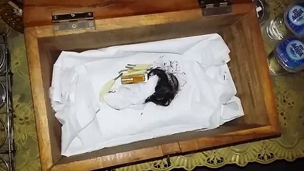 Inilah Bentuk Jenglot yang Ditemukan Warga Bogor di Genting Rumahnya