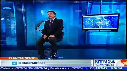 Bob Odenkirk, protagonista de ‘Better call Saul’ habló con NTN24 sobre el cambio de su personaje en la nueva temporada d