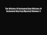 Read The Witches Of Enchanted Bay (Witches Of Enchanted Bay Cozy Mystery) (Volume 1) Ebook