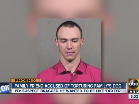 Lucky the Chihuahua found mutilated in dumpster