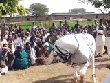 wah g jalwa dance gujrat pakistan hourse dance - saraiki punjab