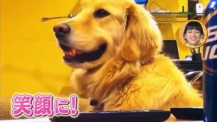 世界で話題の動物ハプニング