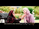Pashto New Songs Album 2016 Sparli Gulona - Raza Sherine