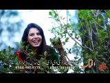 Pashto New Songs Album 2016 Sparli Gulona - Dukhtare Dedam By Zaryalai Samadi