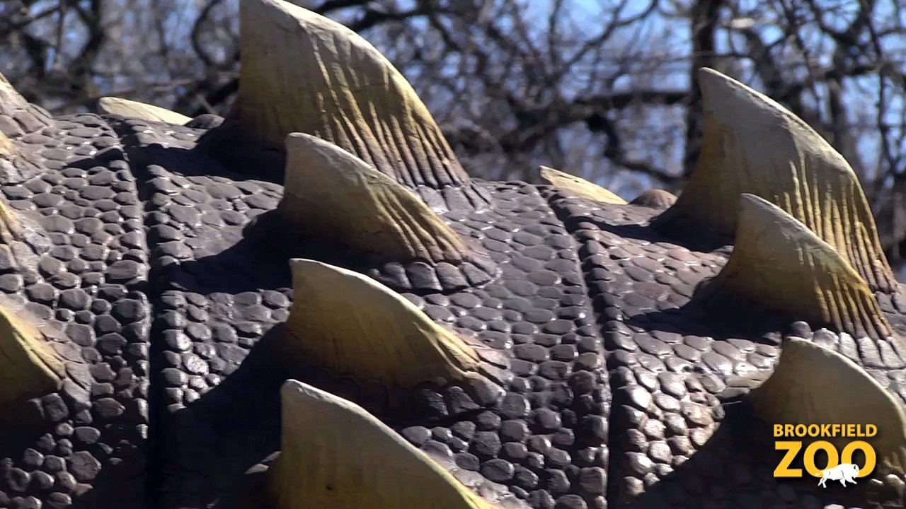 Dinosaurs Alive! is Back!