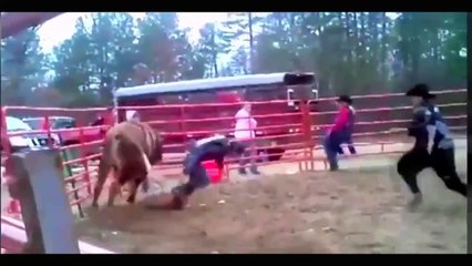 Animal Attacks Compilation 2015 HD ll PART 1