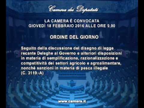 Roma - Camera - 17^ Legislatura - 572^ seduta (18.02.16)