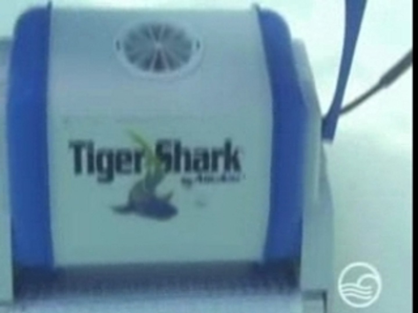 Robot piscine Pontoon : Tiger Shark - Vidéo Dailymotion