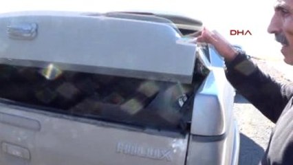 Iğdır-Yaralı Köpek Tedavi İçin Tatvan'a Gönderildi