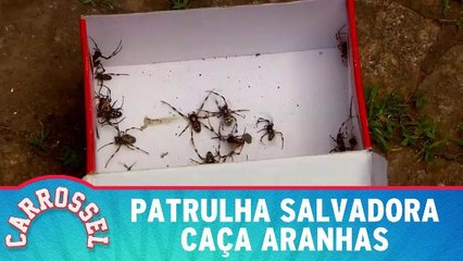 Patrulha Salvadora caça aranhas