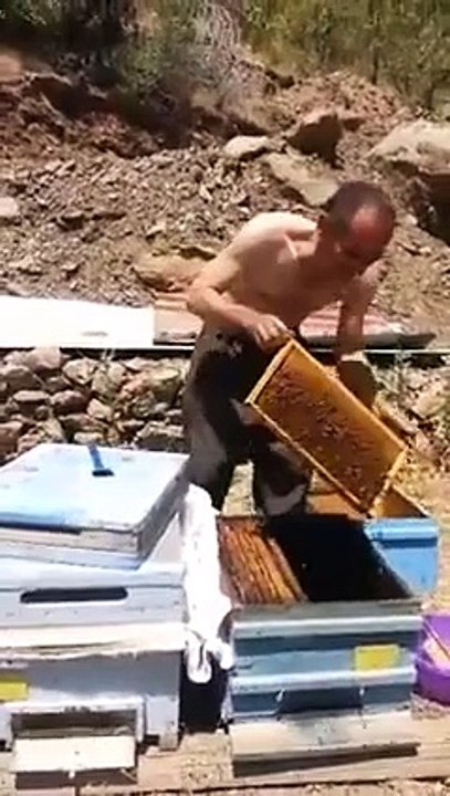 Funny whatsapp video 2015/2016 very funny - Dailymotion
