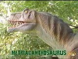 Mesozoic Idol  Metriacanthosaur (Week 10)