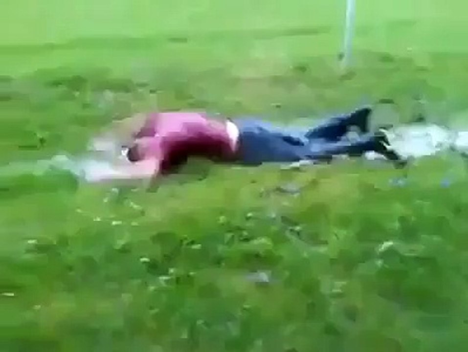 swimming IN Grassss Funy