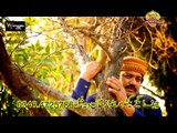 Sajna we Das kiun Dil Meda _By Singer Sharafat Ali Kahn Balouch New Album 2016