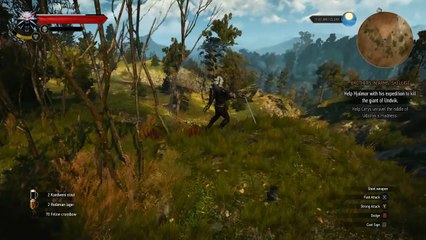 [TAS] The Witcher 3 Wild Hunt in 023.52 (World Record)