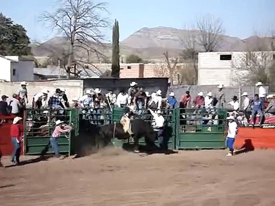 pbr cesar bustamante jr vs zamurai