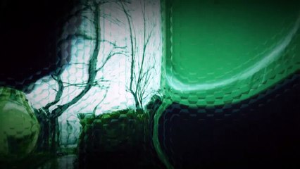 Prinde paianjenii de la Muzeul „Antipa” si castiga o tableta!