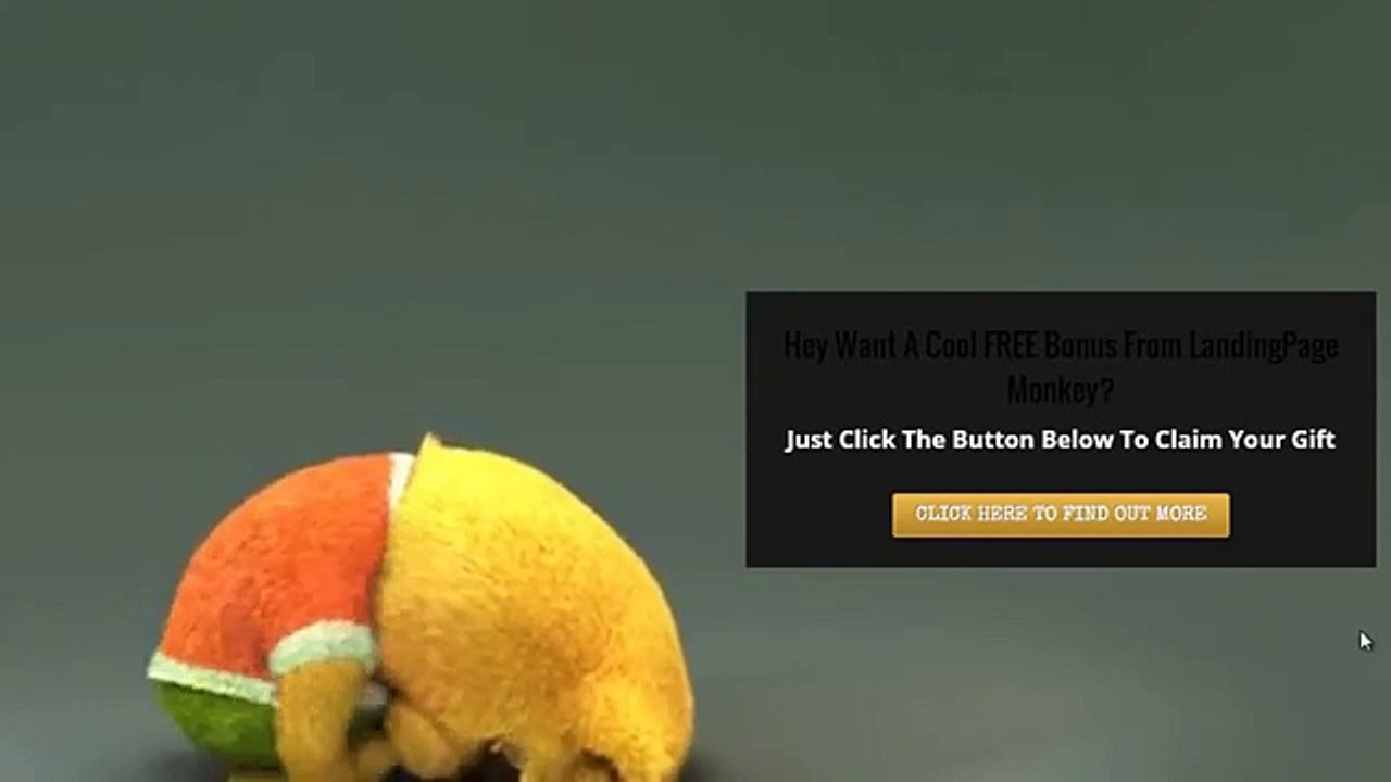 Build Your Email Lists Faster with Landing Page Monkey