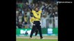 Shahid Afridi 5 wicket for 7 runs Best bowling figure in T20 cricket
